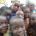 Enfants déplacés de Boko Haram gardent le sourire  malgré les souffrances